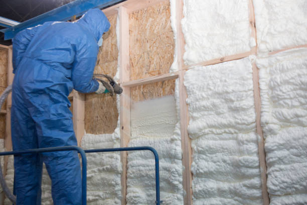 Types of Insulation We Offer in Lolo, MT